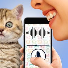 Скачать взломанную Переводчик языка кошек шутка (Мод все открыто) на Андроид