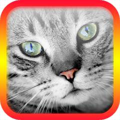 Скачать Переводчик на кошачий язык (Разблокировано все) на Андроид