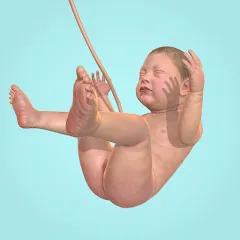 Скачать Idle 9 Months (Айдл 9 месяцев) [МОД: Много монет, Открытые уровни и Мега MOD] | Взлом Idle 9 Months на Андроид