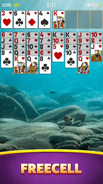 Solitaire Bliss Collection [МОД: Много денег, Монет и Все открыто] Screenshot 4