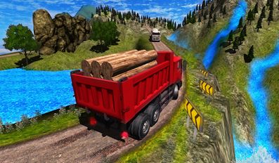   Truck Driver Cargo (  )  