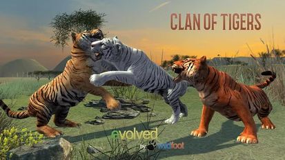 Скачать взломанную Clan of Tigers (Мод много денег) на Андроид