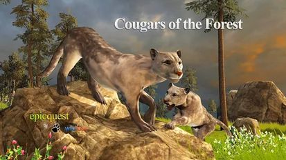 Скачать взломанную Cougars of the Forest (Взлом на монеты) на Андроид