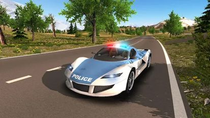   Police Car Driving Offroad (  )  