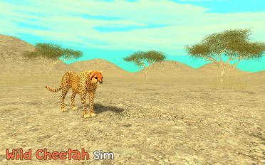   Wild Cheetah Sim 3D (  )  
