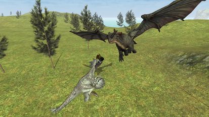   Flying Fury Dragon Simulator (  )  