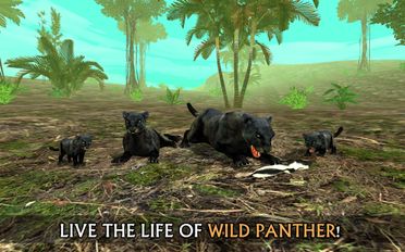   Wild Panther Sim 3D (  )  