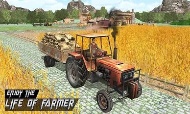    Farmer  Sim (  )  