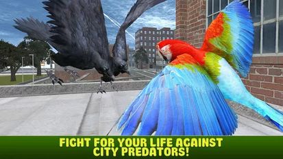 Скачать взломанную City Bird Parrot Simulator 3D (Мод все открыто) на Андроид