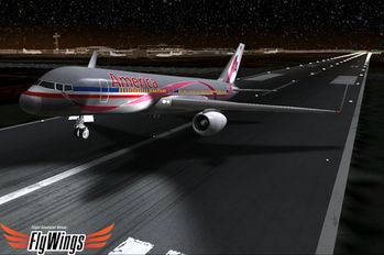   Flight Simulator Night NY Free (  )  