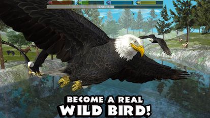 Скачать взломанную Ultimate Bird Simulator (Мод все открыто) на Андроид