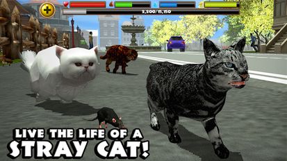   Stray Cat Simulator (  )  