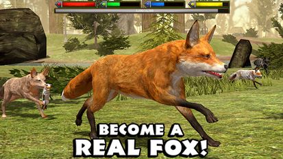   Ultimate Fox Simulator (  )  