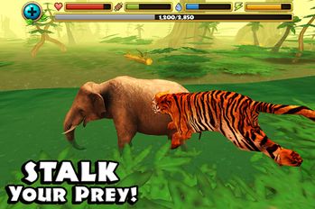Скачать взломанную Tiger Simulator (Мод много денег) на Андроид