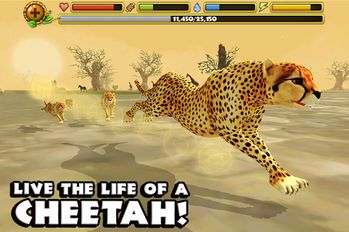 Скачать взломанную Cheetah Simulator (Мод все открыто) на Андроид