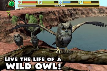   Owl Simulator (  )  