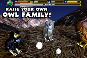   Owl Simulator (  )  