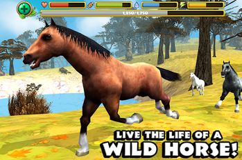 Скачать взломанную Wild Horse Simulator (Взлом на монеты) на Андроид