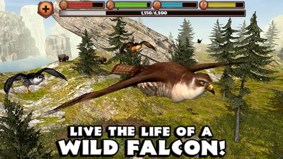 Скачать взломанную Falcon Simulator (Взлом на монеты) на Андроид