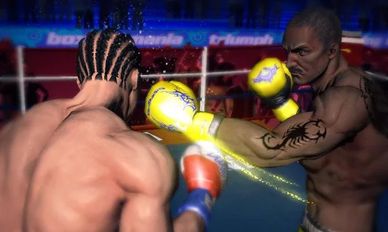     - Punch Boxing 3D (  )  