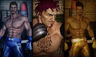     - Punch Boxing 3D (  )  