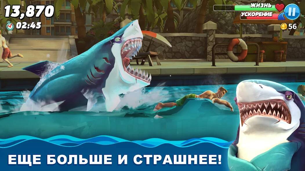 Скачать Hungry Shark World (Много денег) на Андроид