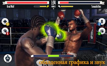   Real Boxing (  )  