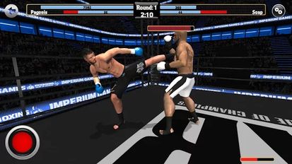   Kickboxing Fighting - RTC (  )  