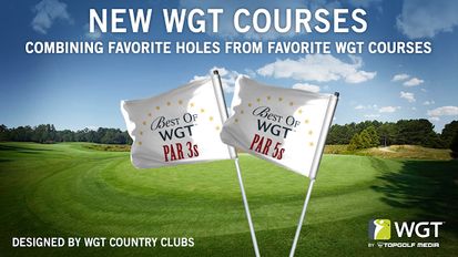   WGT Golf Game by Topgolf (  )  