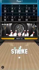   Bowling 3D Pro (  )  