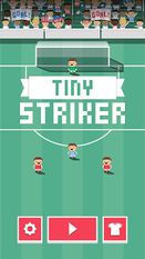   Tiny Striker (  )  
