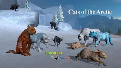 Скачать взломанную Cats of the Arctic (Мод много денег) на Андроид