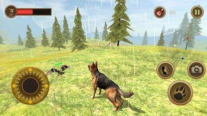   Wild Dog Survival Simulator (  )  