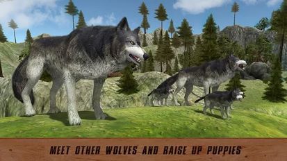 Скачать взломанную Wild Life: Wolf Quest (Взлом на монеты) на Андроид