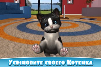 Скачать взломанную Daily Kitten : виртуальный кот (Взлом на монеты) на Андроид