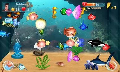 Скачать взломанную Аквариум рыбы Fish Live (Мод все открыто) на Андроид