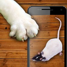 Скачать взломанную Мышь для кота - игрушка (Взлом на монеты) на Андроид
