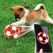 Скачать взломанную Дразнить собаку мяч симулятор (Мод все открыто) на Андроид