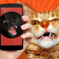 Скачать взломанную Дразнить Котов: Звуки (Мод много денег) на Андроид