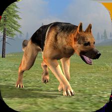 Wild Dog Survival Simulator