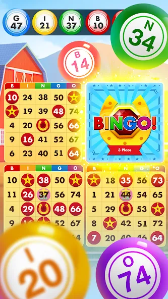 Bingo Country Boys: Tournament (Бинго Кантри Бойз) [МОД: Бесконечные деньги, Монеты и Мега MOD] Screenshot 2