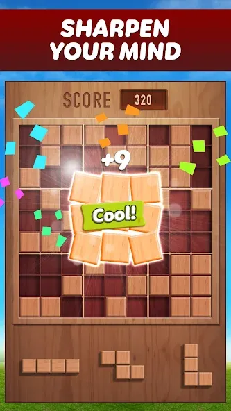 Woody 99 - Sudoku Block Puzzle (Вуди 99) [МОД: Все открыто, Дополнительные деньги и Меню MOD] Screenshot 1