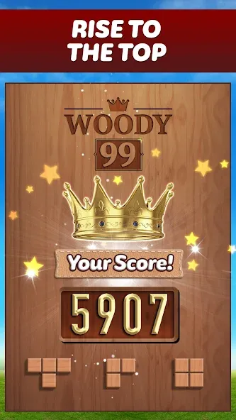 Woody 99 - Sudoku Block Puzzle (Вуди 99) [МОД: Все открыто, Дополнительные деньги и Меню MOD] Screenshot 5