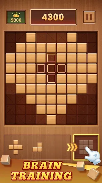 Wood Block 99 - Sudoku Puzzle (Вуд Блок 99) [МОД: Бесконечные деньги, Монеты и Мега MOD] Screenshot 2