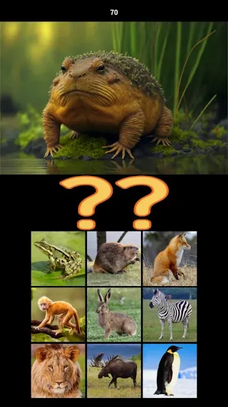 Hybrid Animals Crazy Lab Quiz (Хибридные животные Сумасшедшая лаборатория Викторина) [МОД: Меню, Бесконечные монеты и Открытые уровни] Screenshot 4