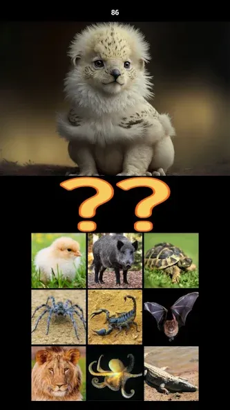 Hybrid Animals Crazy Lab Quiz (Хибридные животные Сумасшедшая лаборатория Викторина) [МОД: Меню, Бесконечные монеты и Открытые уровни] Screenshot 5