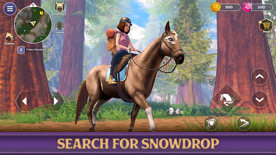 Star Equestrian - Horse Ranch (Стар Иквестриан) [МОД: Много денег, Монет и Все открыто] Screenshot 3