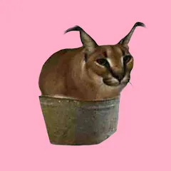 Скачать floppa.png [МОД: Меню, Бесконечные монеты и Открытые уровни] | Взлом floppa.png на Андроид
