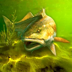 Скачать My Fishing World (Мой рыболовный мир) [МОД: Бесконечные деньги, Монеты и Мега MOD] | Взлом My Fishing World на Андроид