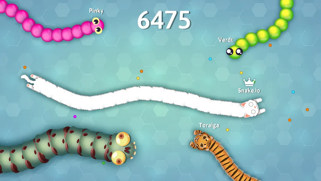 Snake.io - Fun Snake .io Games [МОД: Много денег, Монет и Все открыто] Screenshot 5